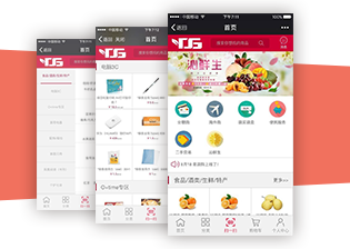 e袋购商城类小程序